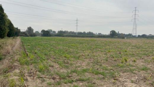 Image de présentation du bien n° 302607
