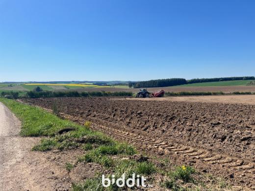 Image de présentation du bien n° 283097