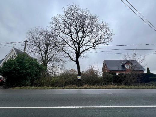 Image de présentation du bien n° 292744