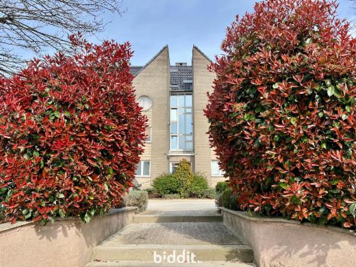 Troisième photo alternative du bien