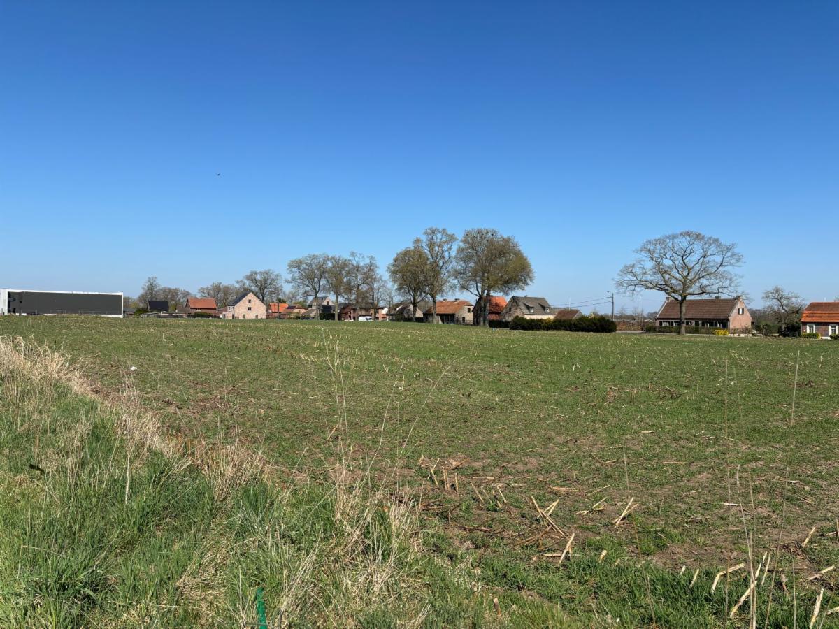 Image de présentation du bien n° 302347