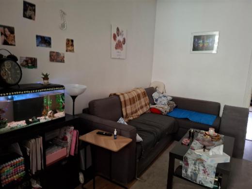 Troisième photo alternative du bien