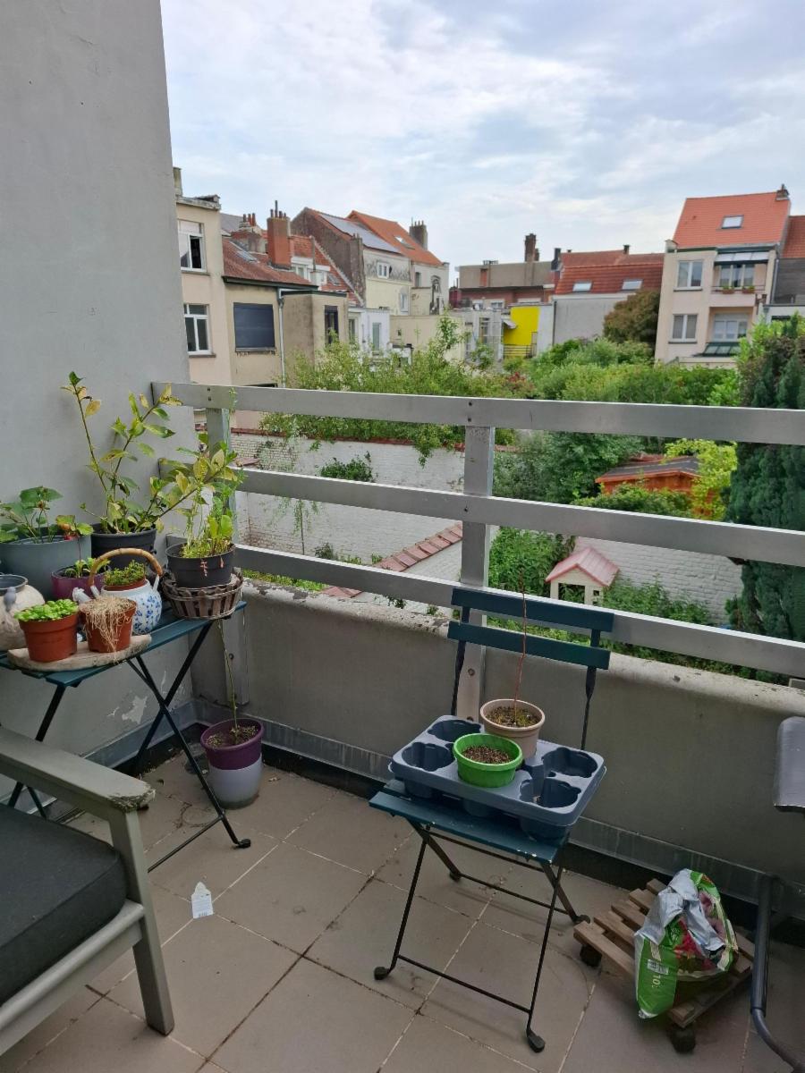 Image de présentation du bien n° 292064