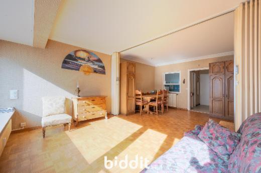 Image de présentation du bien n° 294420