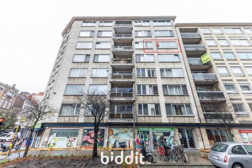 Image de présentation du bien n° 294194