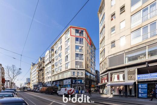 Image de présentation du bien n° 295627