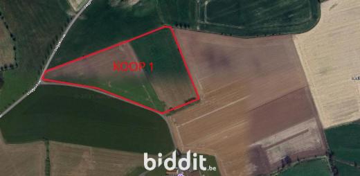 Image de présentation du bien n° 291877