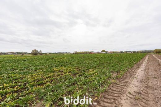 Seconde photo alternative du bien