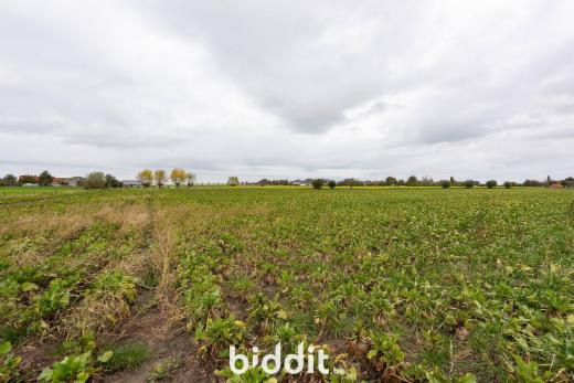 Troisième photo alternative du bien