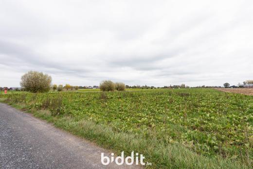 Troisième photo alternative du bien