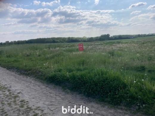 Image de présentation du bien n° 281604