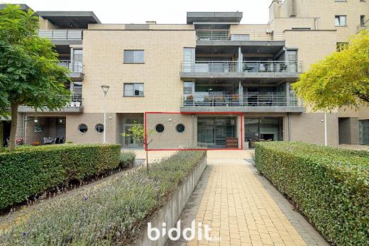 Image de présentation du bien n° 293221