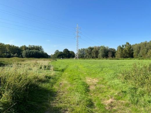 Image de présentation du bien n° 303097