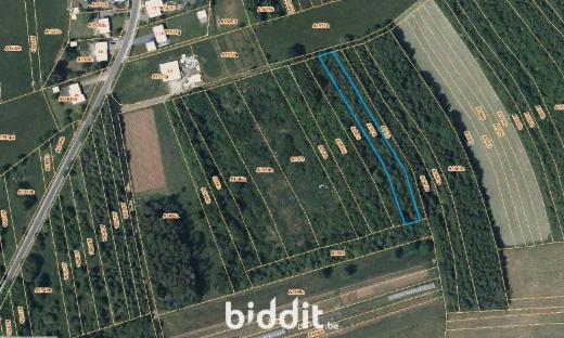 Image de présentation du bien n° 289066