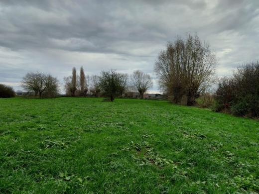 Première photo alternative du bien