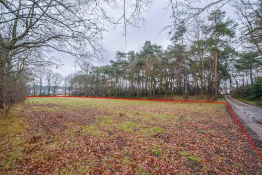 Troisième photo alternative du bien