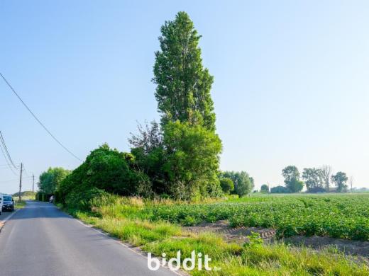 Image de présentation du bien n° 286973