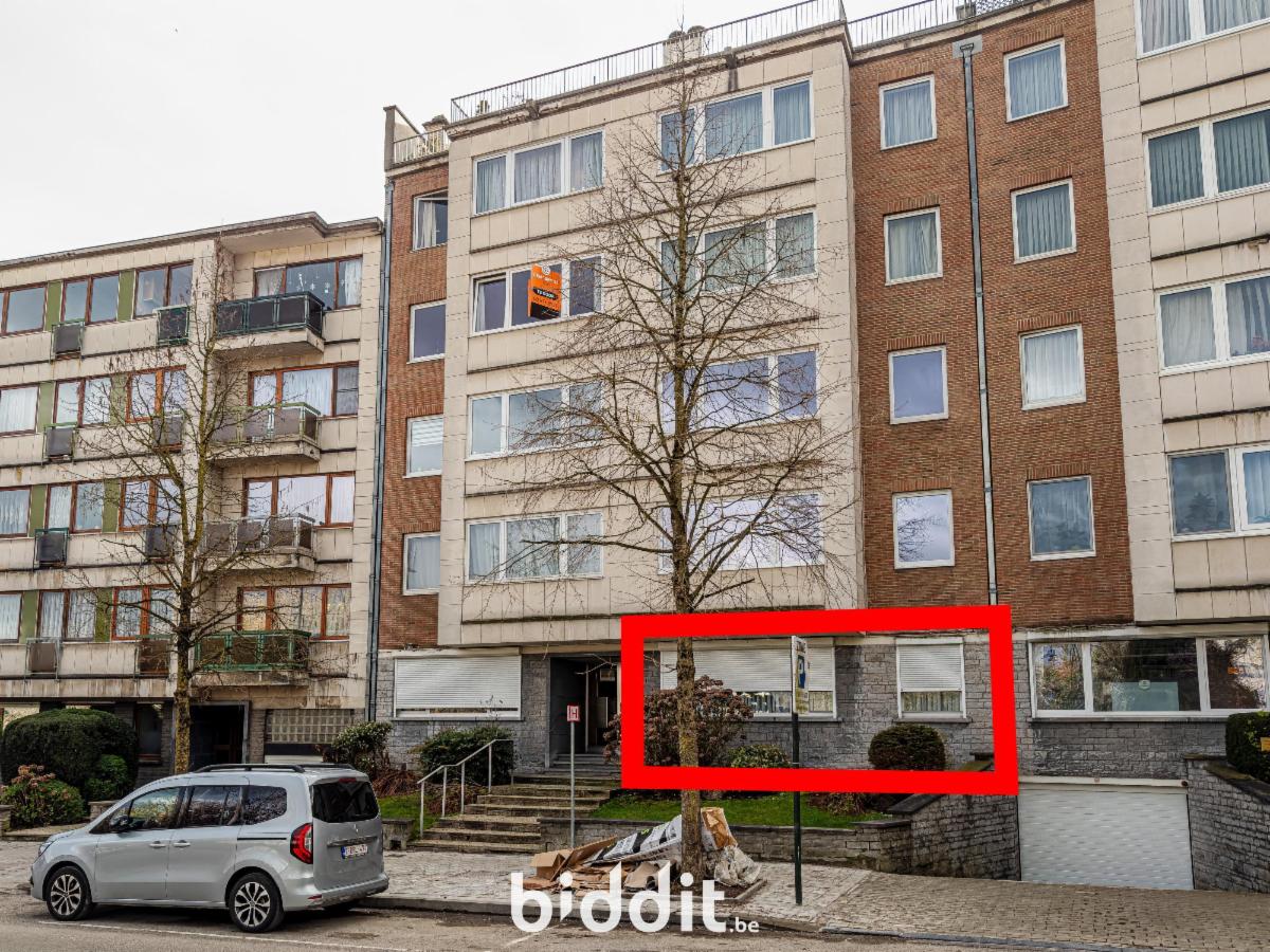 Image de présentation du bien n° 293866