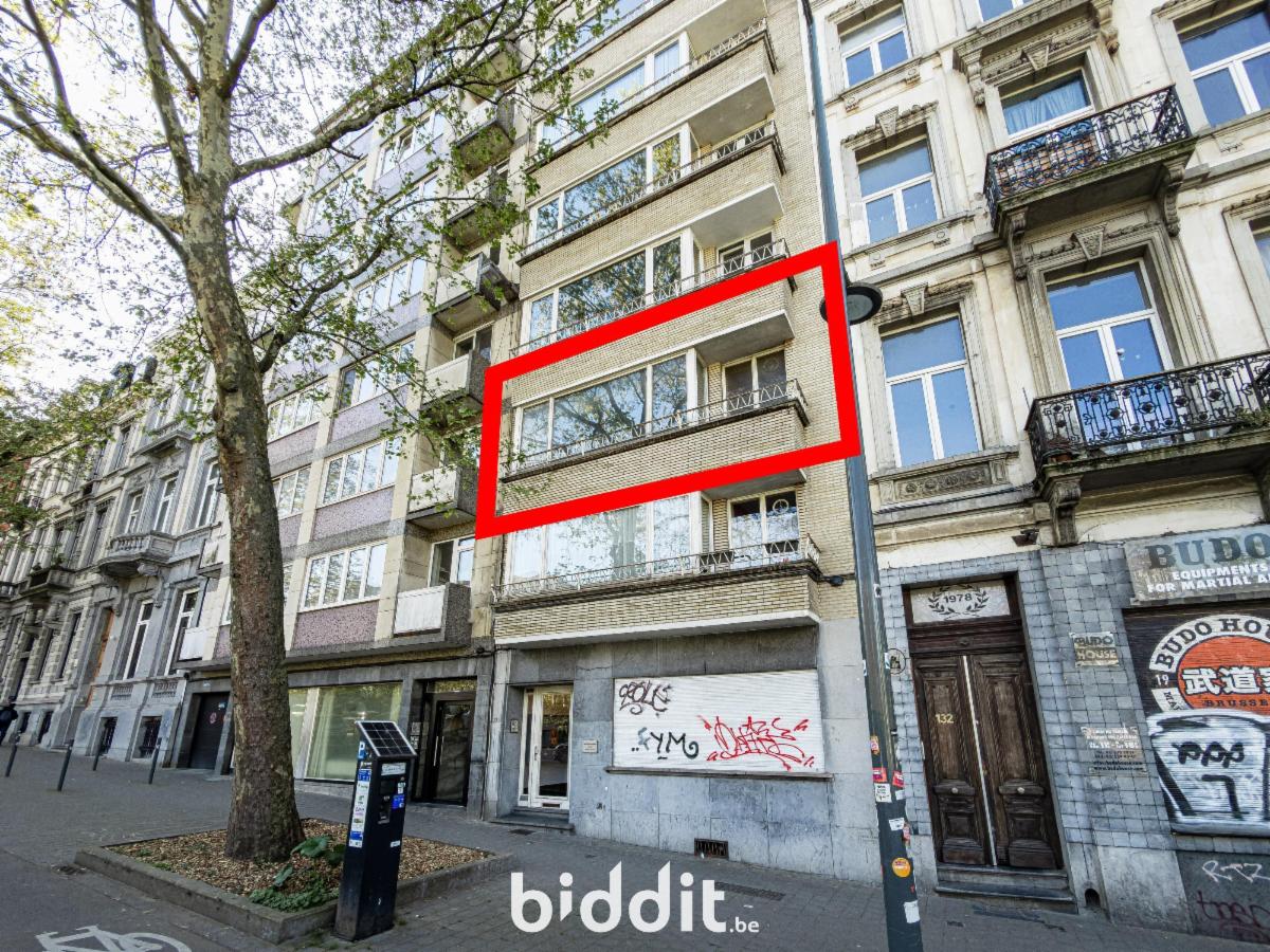 Image de présentation du bien n° 295260