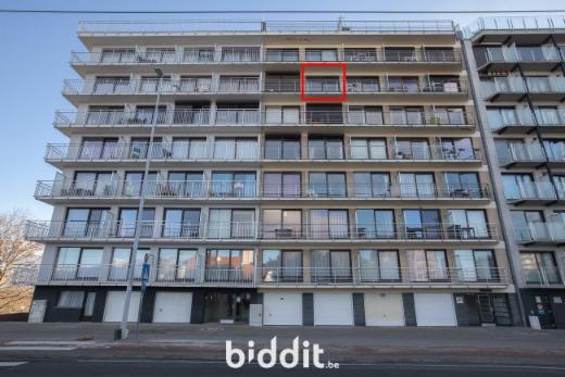 Image de présentation du bien n° 291066