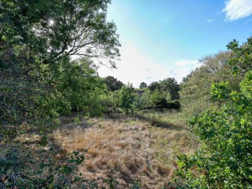 Troisième photo alternative du bien