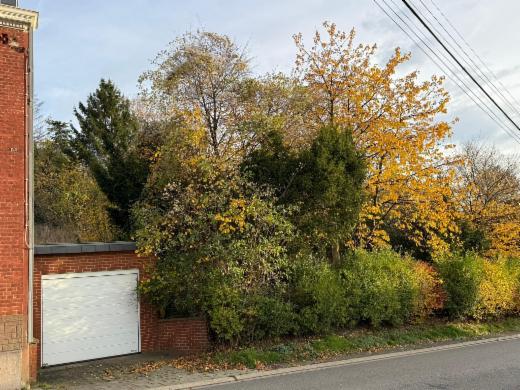 Première photo alternative du bien