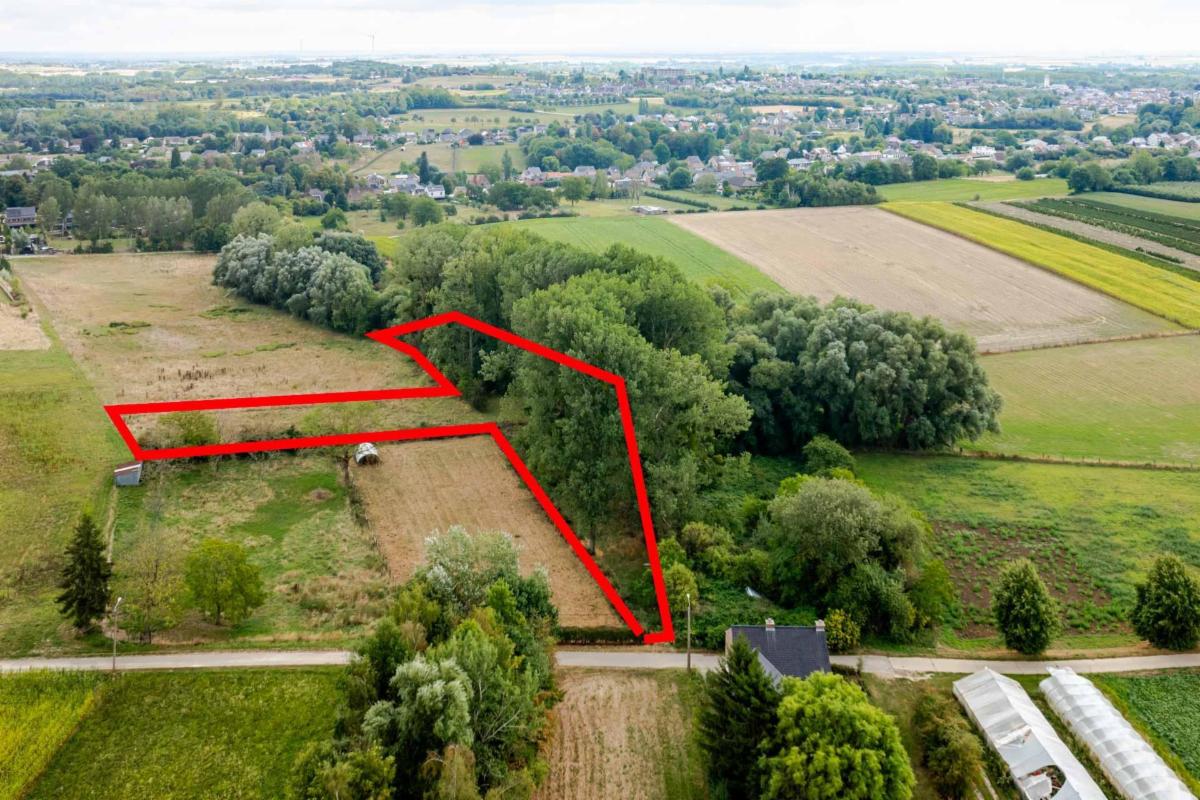 Image de présentation du bien n° 300235
