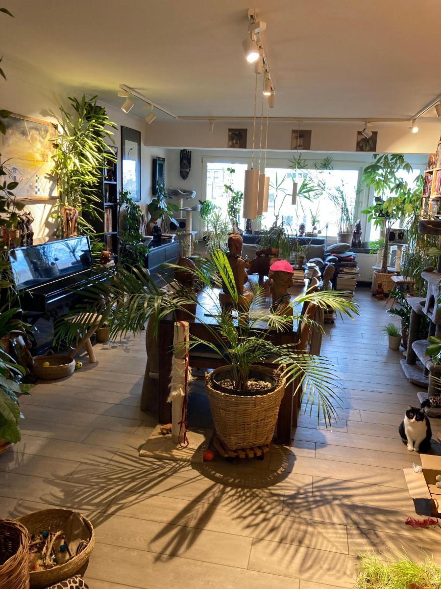 Image de présentation du bien n° 291852