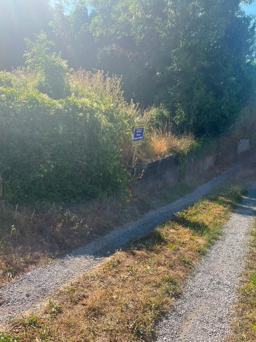 Image de présentation du bien n° 299532