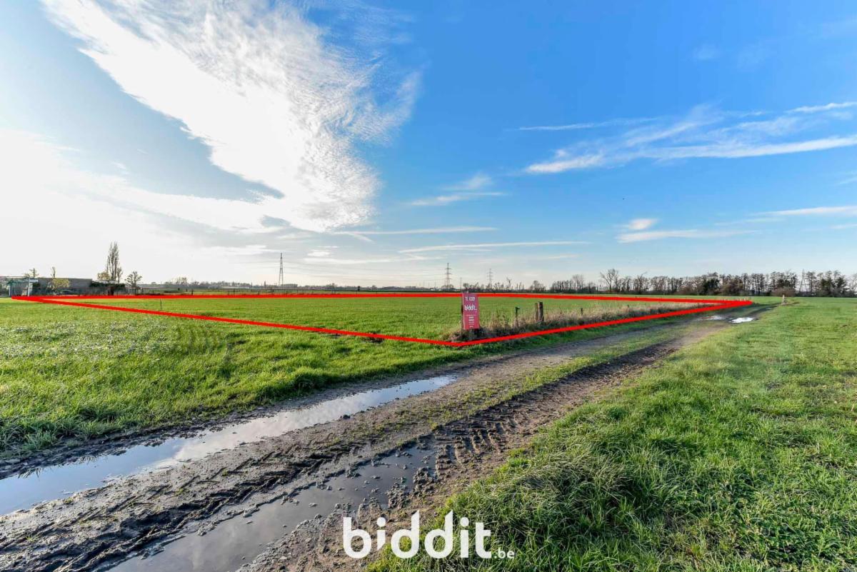 Image de présentation du bien n° 291237