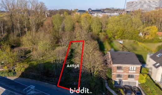 Image de présentation du bien n° 294636