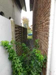 Première photo alternative du bien