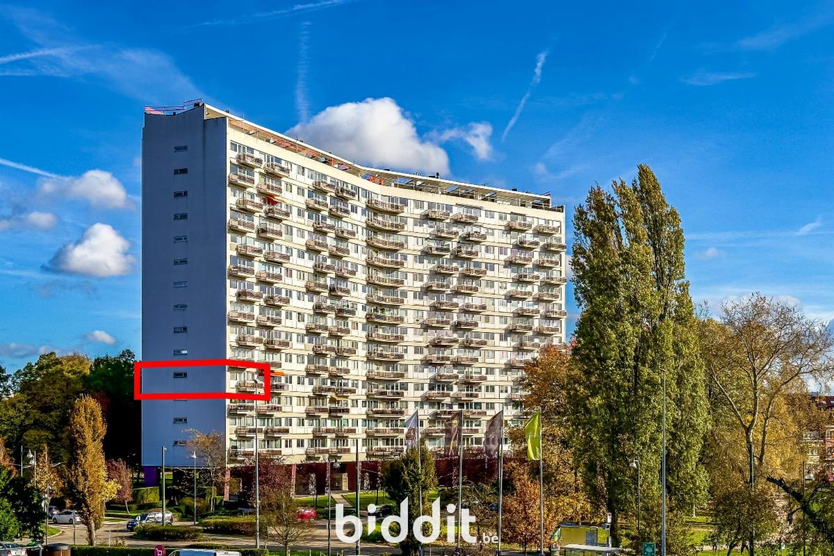 Image de présentation du bien n° 292108