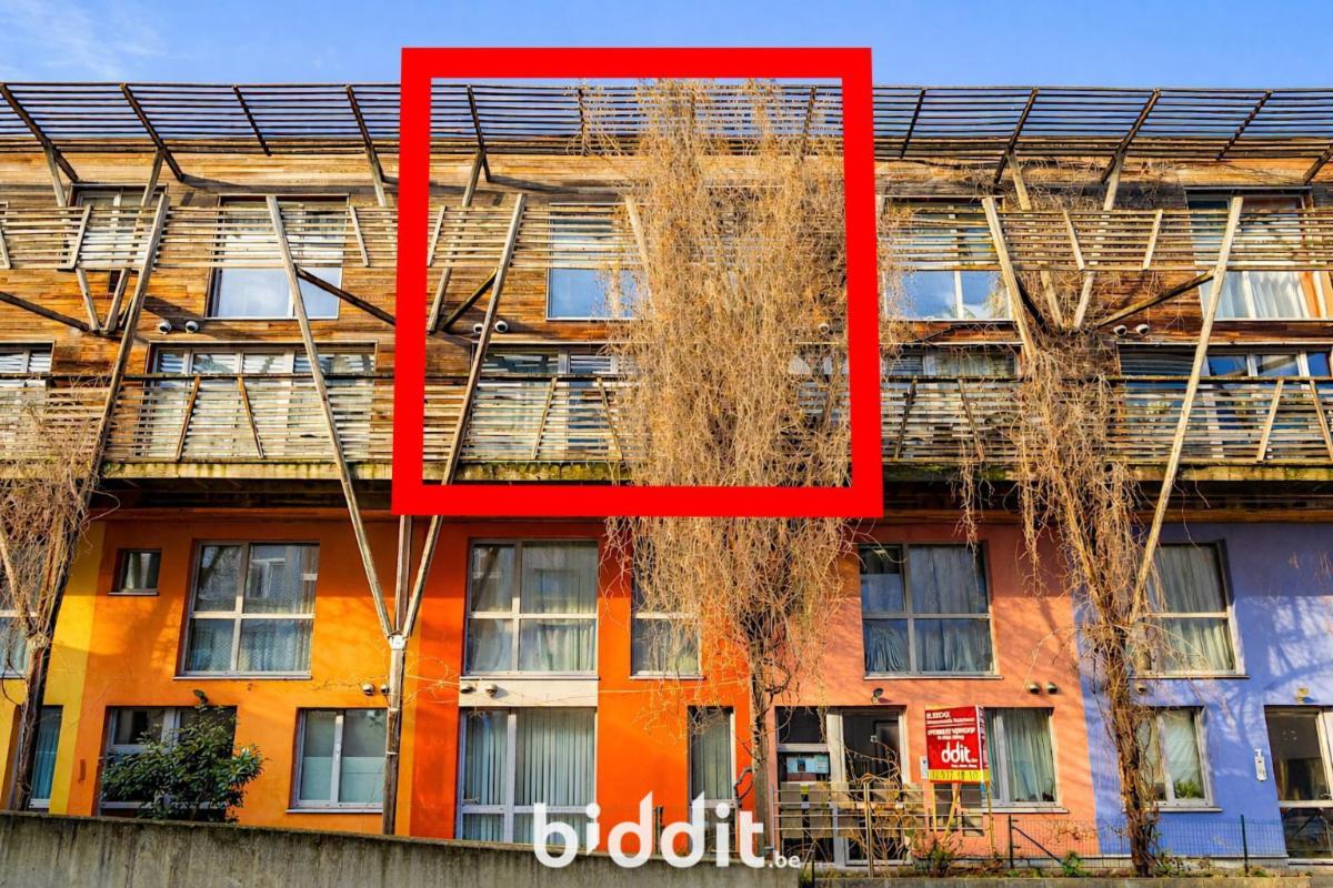 Image de présentation du bien n° 292316