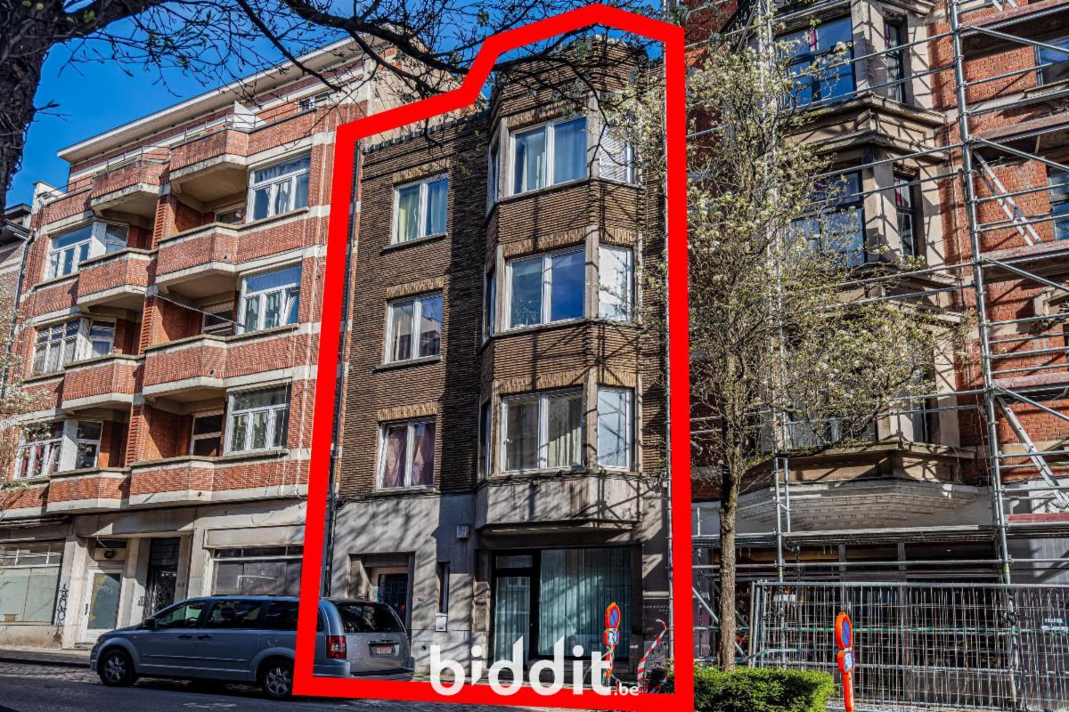 Image de présentation du bien n° 294449