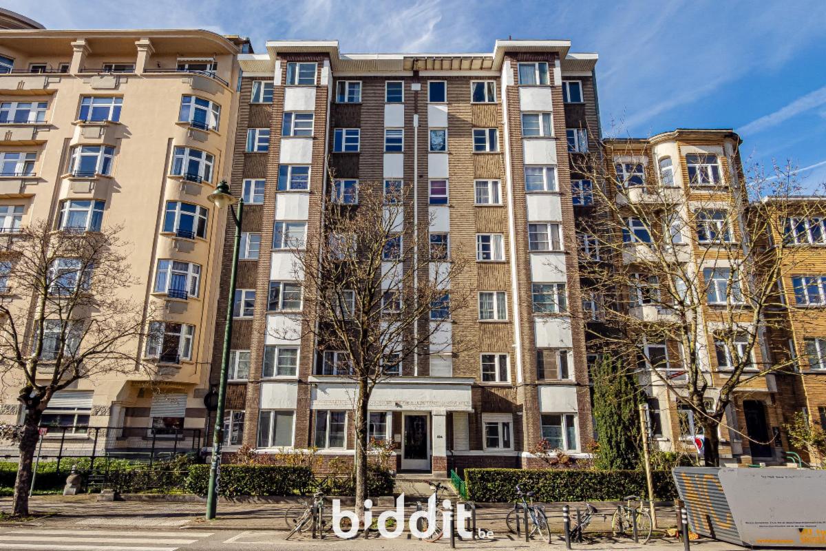 Image de présentation du bien n° 294492