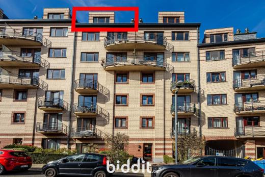 Image de présentation du bien n° 295429