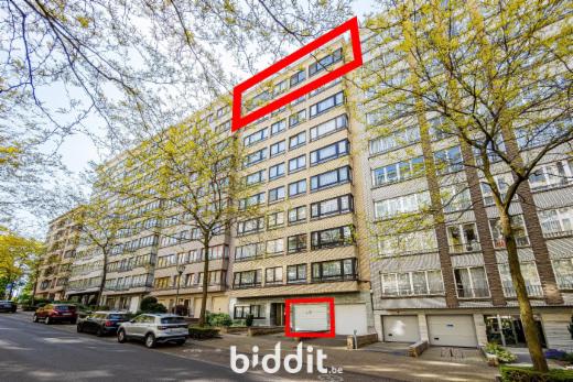 Image de présentation du bien n° 296895