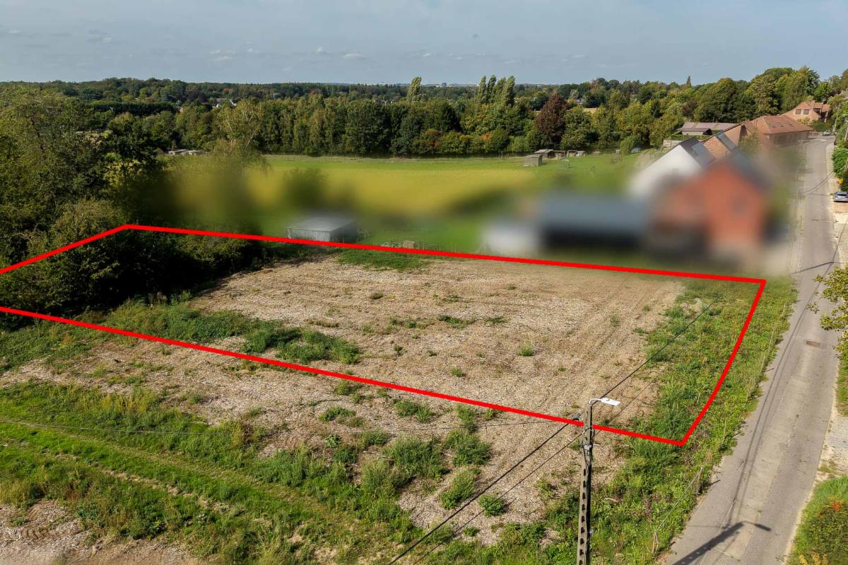 Image de présentation du bien n° 302388