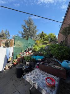 Première photo alternative du bien