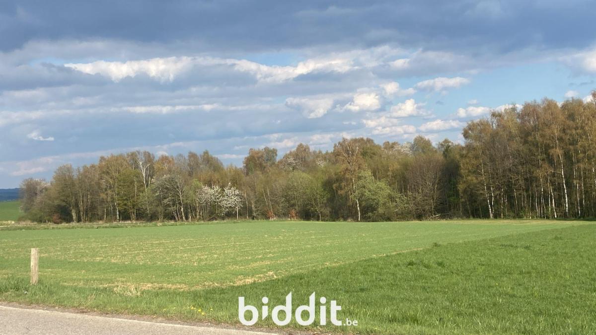 Image de présentation du bien n° 295380