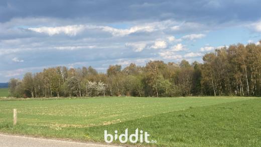 Image de présentation du bien n° 295380