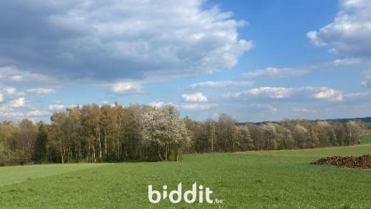 Première photo alternative du bien