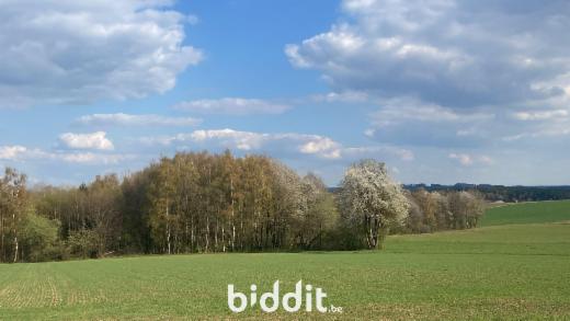 Seconde photo alternative du bien