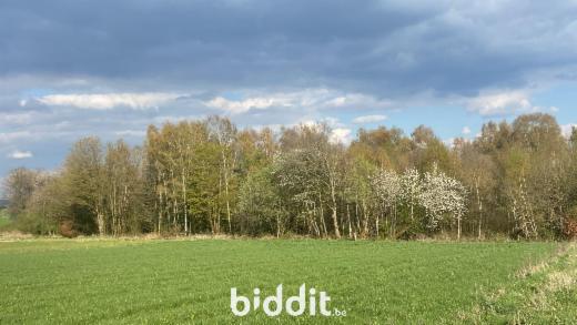 Troisième photo alternative du bien