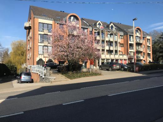 Image de présentation du bien n° 294443