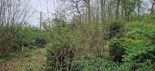 Troisième photo alternative du bien