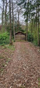 Seconde photo alternative du bien