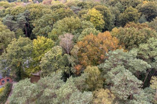 Troisième photo alternative du bien