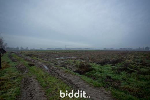 Première photo alternative du bien